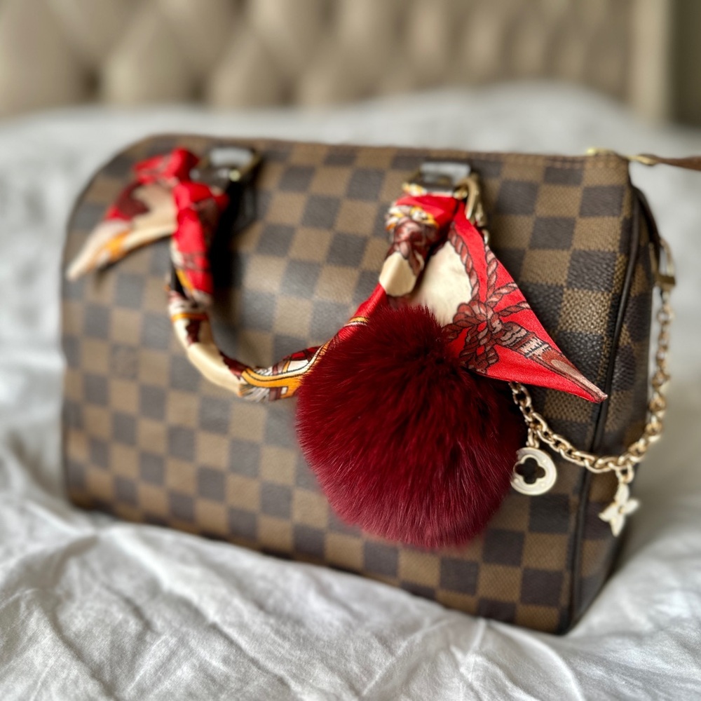 Louis Vuitton Damier Ebene Speedy 25 Hand Bag